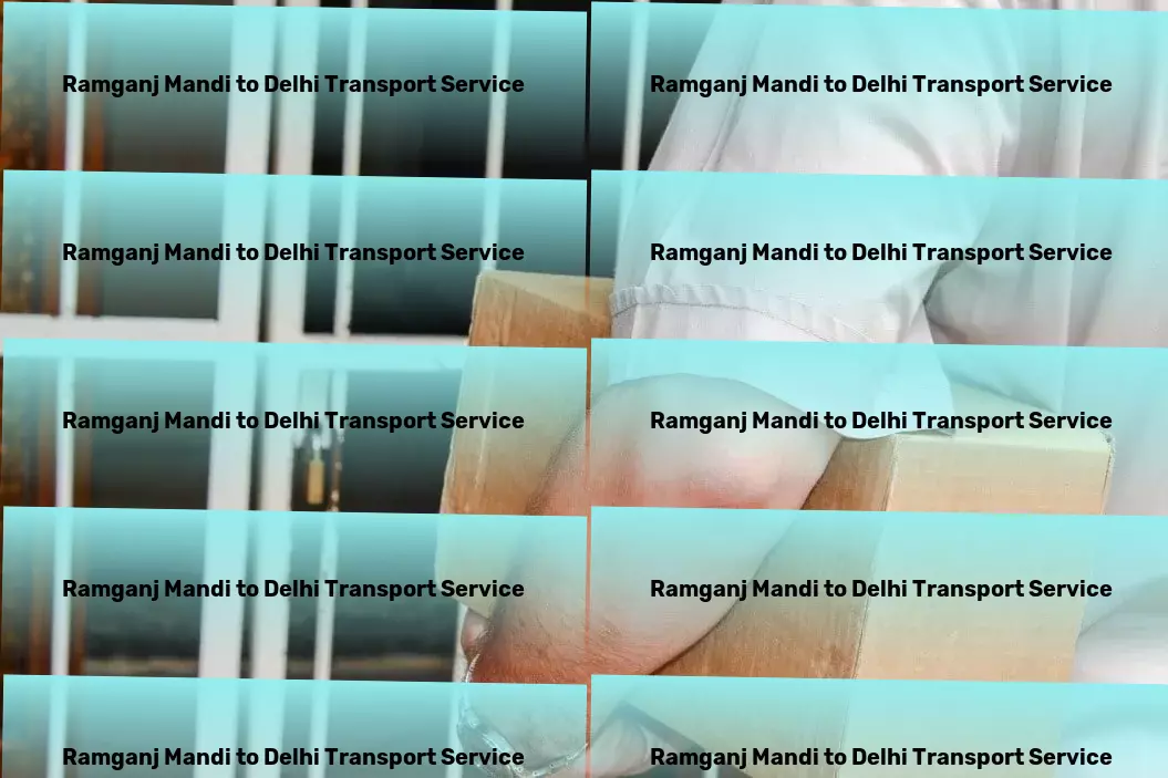 Ramganj Mandi to Delhi Transport Containerized shipping