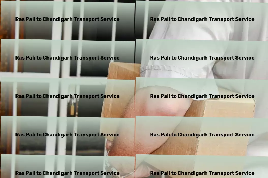 Ras Pali to Chandigarh Transport Residential door delivery