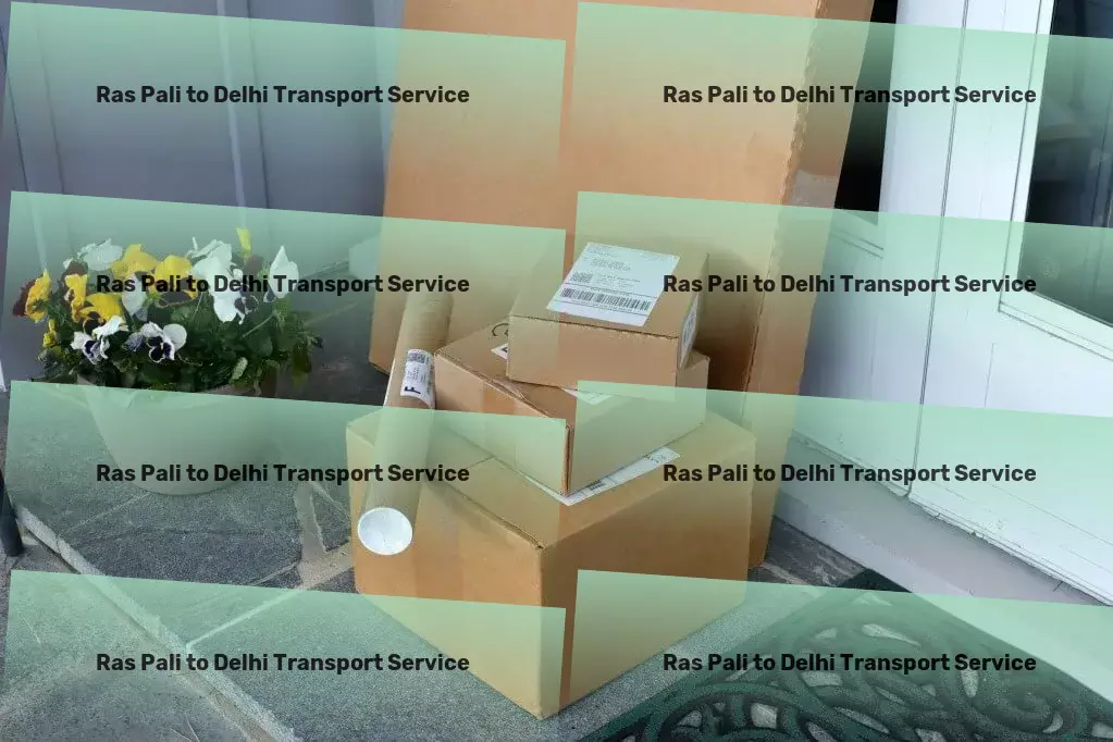 Ras Pali to Delhi Transport Enhance your movie nights with cinematic explorations. - Nationwide cargo movers