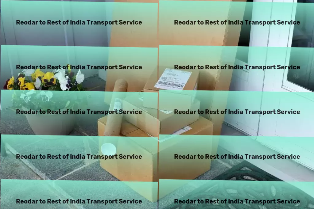 Reodar to Rest Of India Transport Redefine pet care at home with innovative gadgets. - Interstate goods shipping