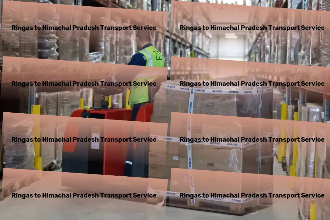 Ringas to Himachal Pradesh Transport Inter-city freight operations