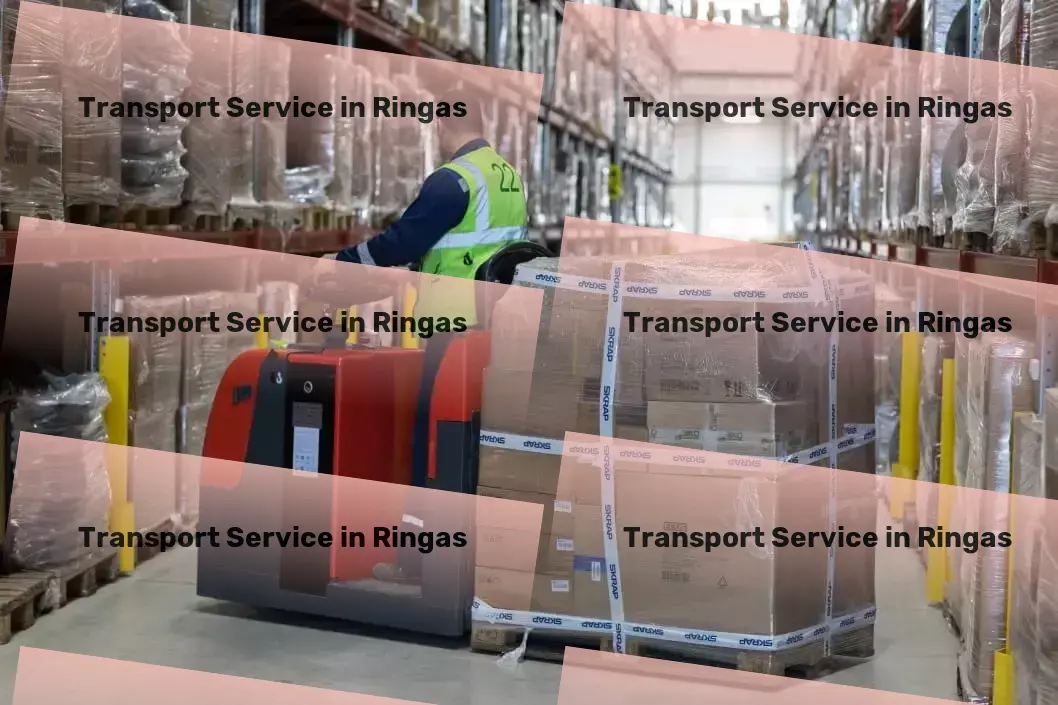 Packers And Movers in Ringas, Rajasthan (RJ) Cargo transit services