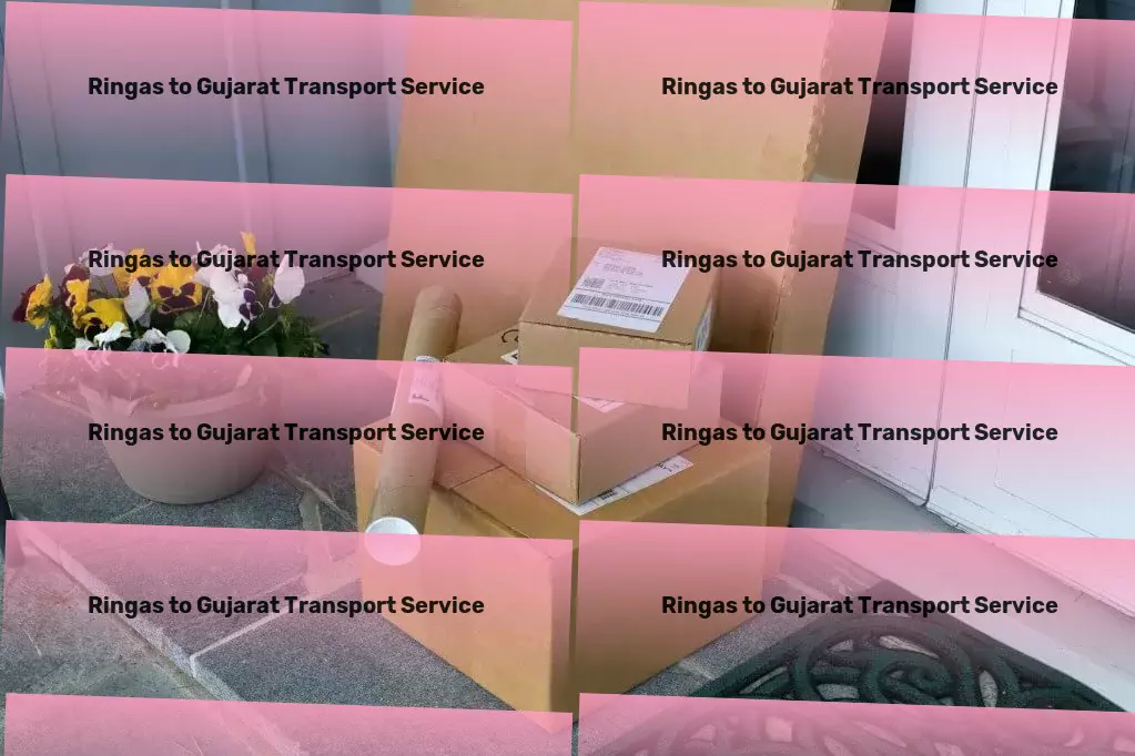 Ringas to Gujarat Transport Professional logistics operations