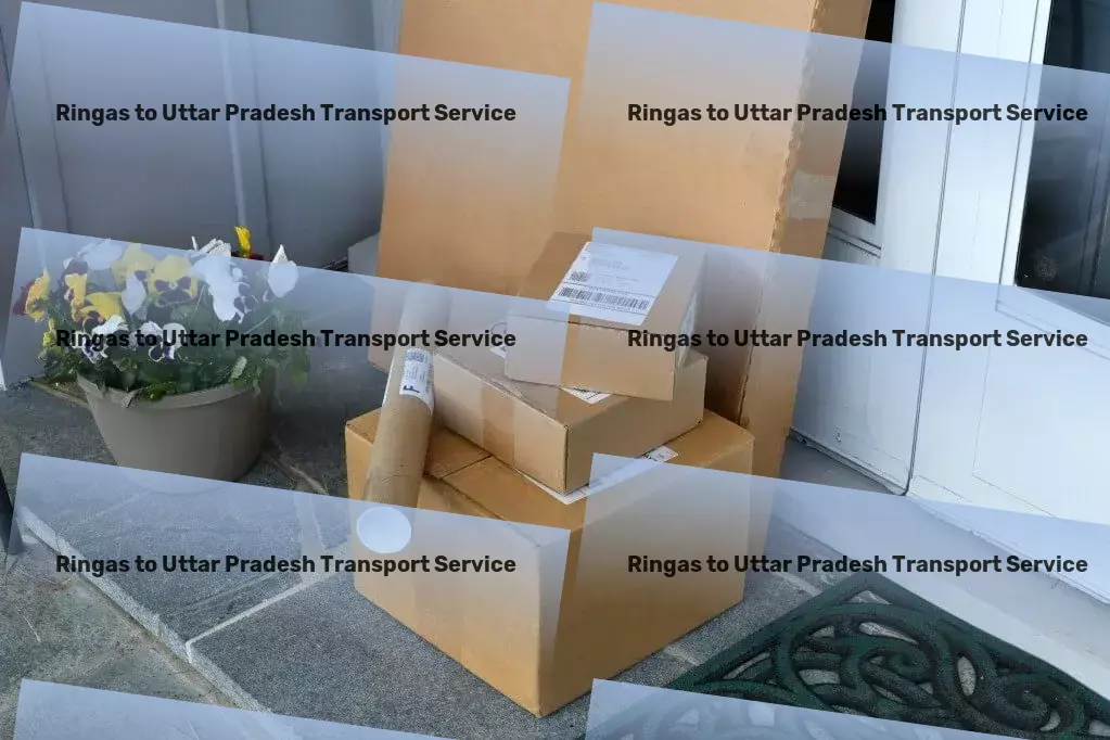 Ringas to Uttar Pradesh Transport Freight transport management