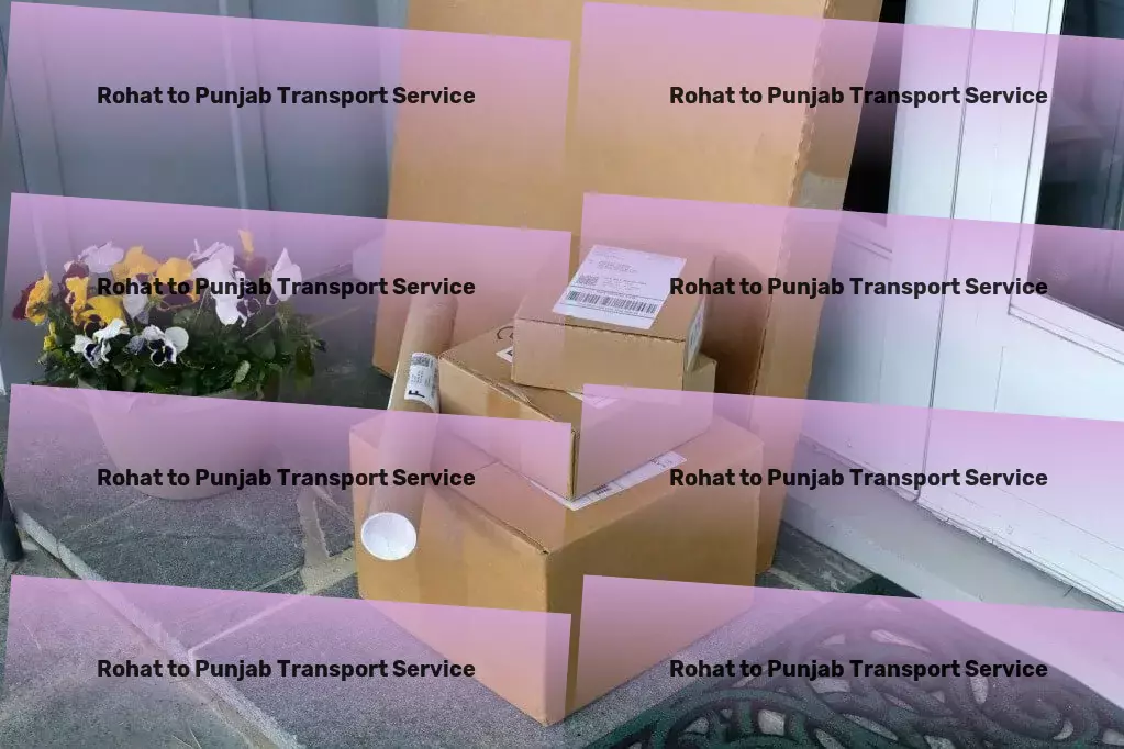 Rohat to Punjab Transport Express courier services