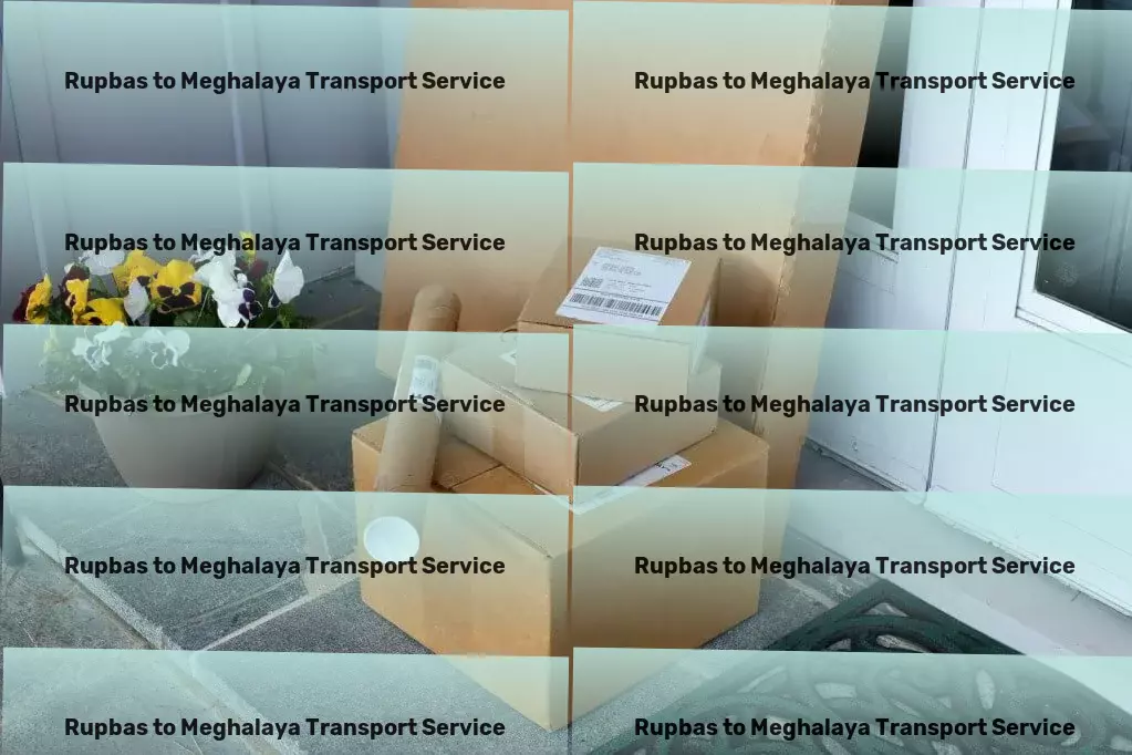 Rupbas to Meghalaya Transport Direct goods shipment