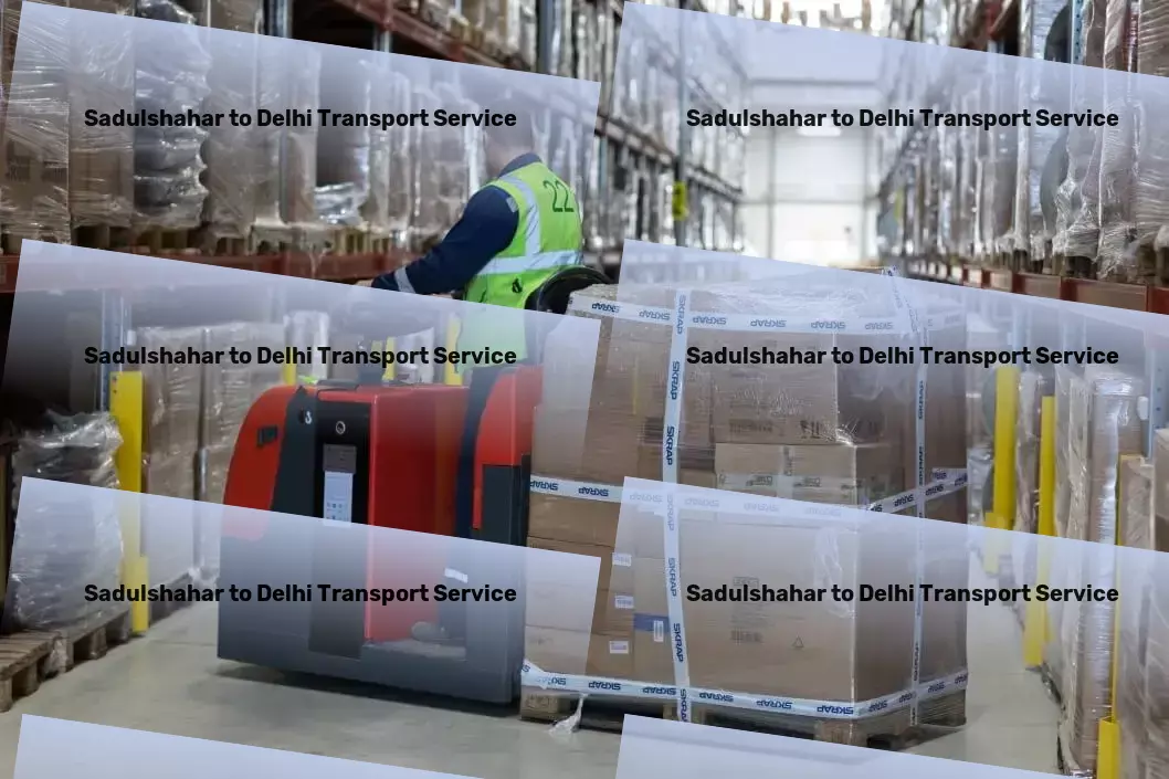 Sadulshahar to Delhi Transport Full-load transport services