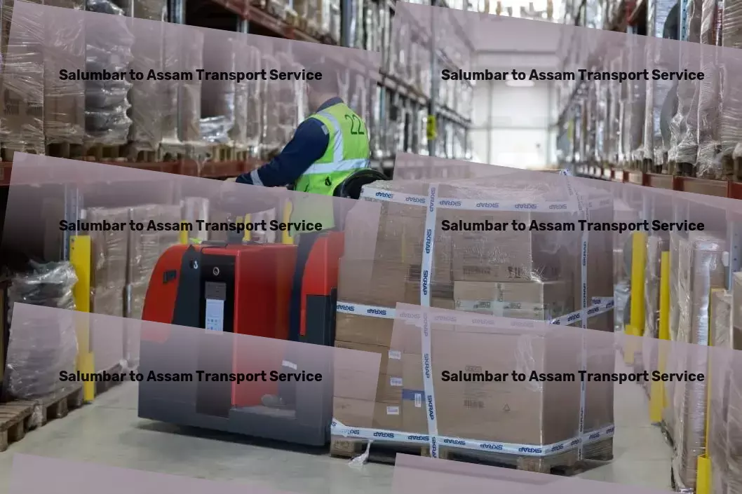 Salumbar to Assam Transport Professional moving and shipment