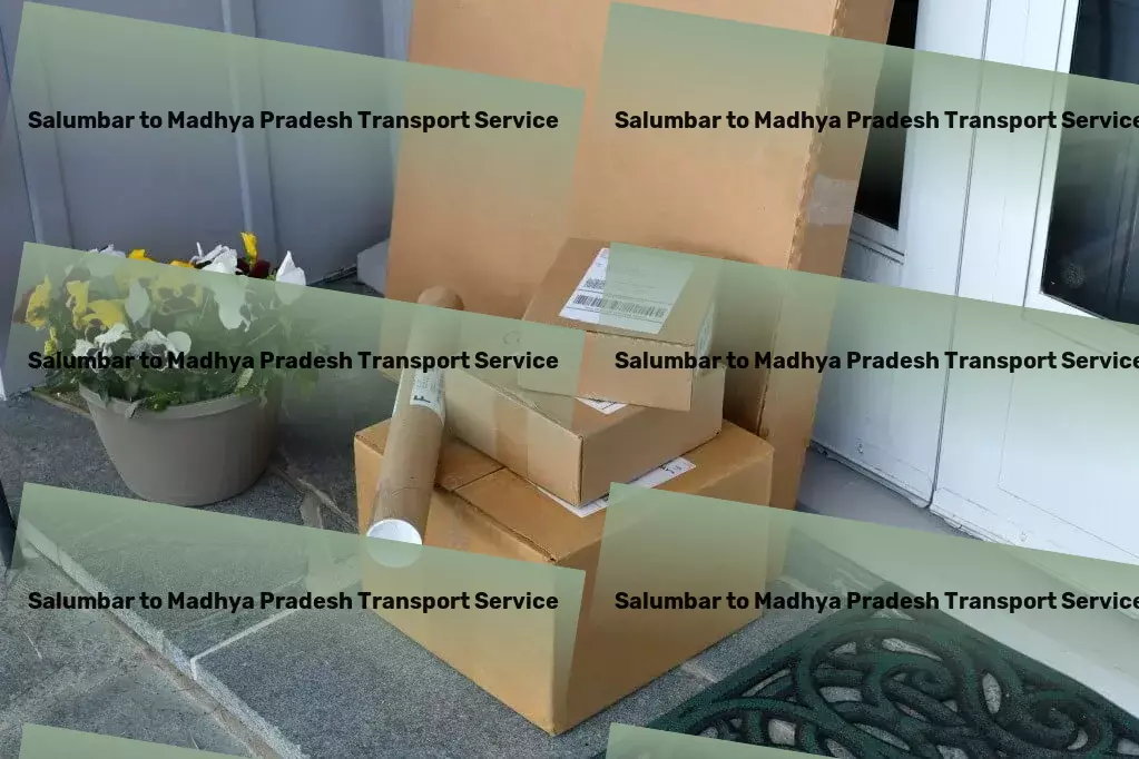 Salumbar to Madhya Pradesh Transport Customized shipping solutions